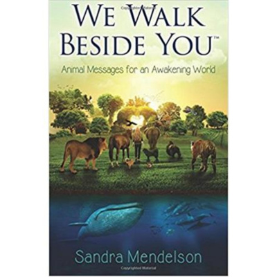 Wellness Radio With Dr. J