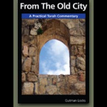 From The Old City By Gutman Locks