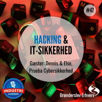 Hacking og IT-sikkerhed - genudgivelse #47