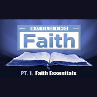 Faith essentials (Audio)