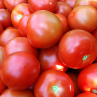 Matens Pris: Näringen och grönsakerna