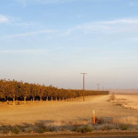 Matens Pris: Vattnet och nötterna