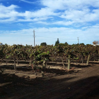 Matens Pris: Extrapodd - Kriget om vattnet