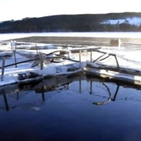 Matens Pris: Svensk fisk på tallriken