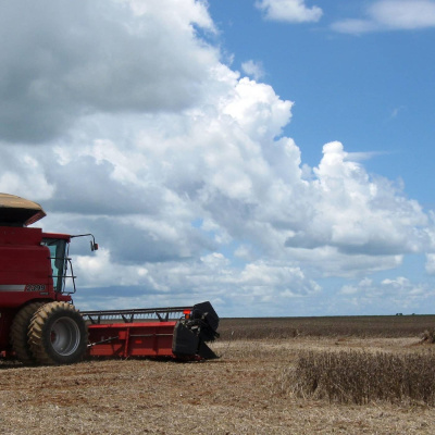 Tema 2016: Matens Pris