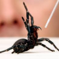 How did Lachie go with Alpha Bucks Kids?