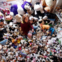 What do you collect?