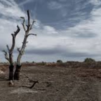 Faces of the Drought...Fiver for a Farmer and Sammie OBrien from Creek to Coast