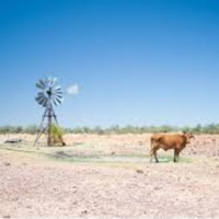 Today with Faces of the Drought we looked at the wonderful work of Rural Aid and Beyond Blue.
