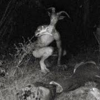 The Pope Lick Monster is not what you think it is...Sadly.