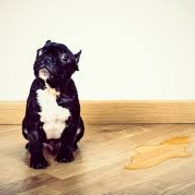 Hamish And Gabi - Hit South Queensland