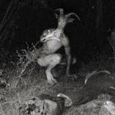 Hamish And Gabi - Hit South Queensland