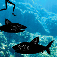 Review: The Age of Bones