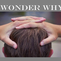 I WONDER WHY - pt1 - I Wonder Why