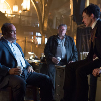 Gotham What the Little Bird Told Him - Season 1 EP 12