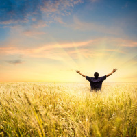 Is That Really In The Bible? 4-The Differences Between God and Man. By David Freeman