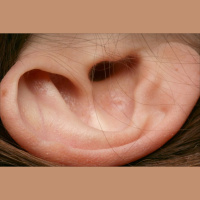 Is That Really In The Bible? 2-I’m Only Pretending to Listen. By David Freeman