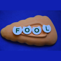 Is That Really In The Bible? 6-No More Fools. By David Freeman