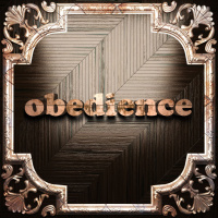 Is That Really In The Bible? 6-What does God expect us to do once we have been forgiven? By David Freeman