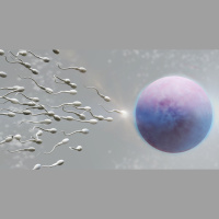 Is That Really In The Bible? 1-Men are More Than Just a Sperm Donor. By David Freeman