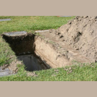 Is That Really In The Bible? 4-The Resurrected Body. By David Freeman