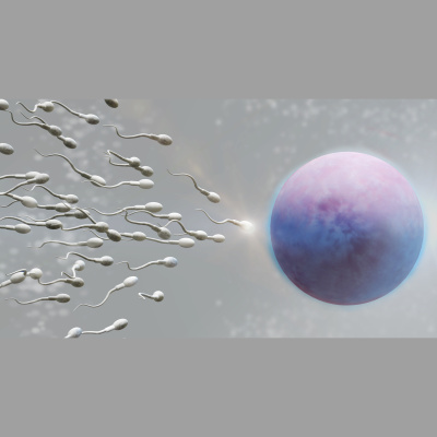 Is That Really In The Bible?