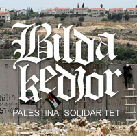 Avsnitt 25 – Palestina: Solidaritet