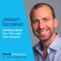 Rethinking Model Size: Train Large, Then Compress with Joseph Gonzalez - #378