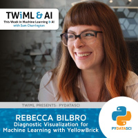 Diagnostic Visualization for Machine Learning with YellowBrick w/ Rebecca Bilbro - TWiML Talk #264