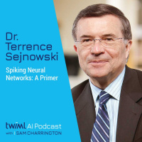 Spiking Neural Networks: A Primer with Terrence Sejnowski - #317