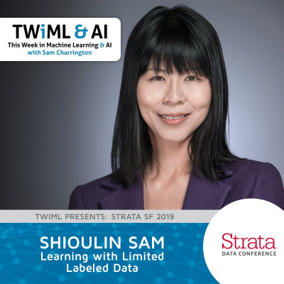 This Week In Machine Learning  Artificial Intelligence (ai) Podcast