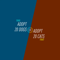 94 - Adopt 20 Dogs or Adopt 20 Cats