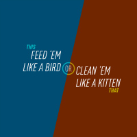 84 - Feed em Like a Bird or Clean em Like a Kitten