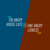 1 - 100 Angry House Cats or One Angry Lioness