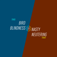 148 - Bird Blindness or Nasty Neutering