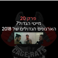 פרק 20 - מייטי גדול? והארגונים הגדולים של 2018