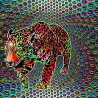 Ayahuasca - The Ancient Brew That Turns Men into Jaguars