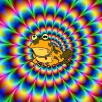 Lets Go Smoke Psychedelic Toad!