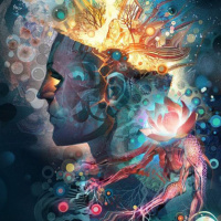 The Magic of Iboga Part 3