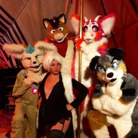 If You Liked it Then You Should Have Put a Leash on It