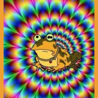 I Only Smoke Organic Colorado River Toad - Youre Welcome Vs. Very Ape: Round 1