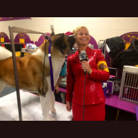 Episode 25: How Much Does it Cost to Resemble an Apple 2 Computer