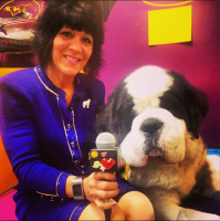 If You Cant Buy it At Wal Mart You Dont Need It