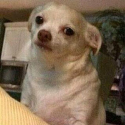 Mmadictos (mma En Español)