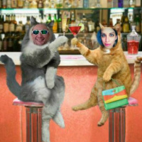 PoopKitty Podcast Ep 1