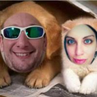 Poop Kitty Podcast Episode 2