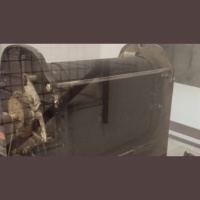 La ciclostil y la vietnamita