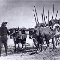 BlitzoCast 032 - La carretería