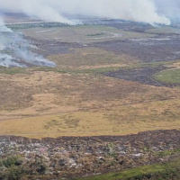 Protestos contra licenciamentos ambientais ganham força