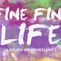 RECKLESS FINE FINE LIFE Series: Blessings - Todd Hampton